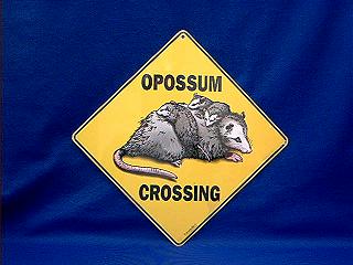 opossum crossing sign color