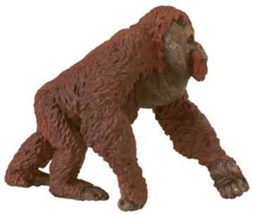 orangutan toy male