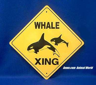 orca killer whale crossing sign