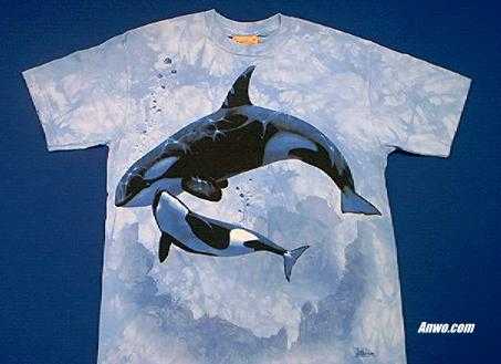 orca t shirt family