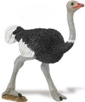 ostrich toy miniature bird