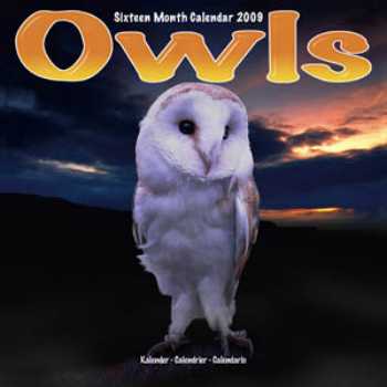 owl calendar 2009
