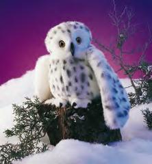 owl puppet snowy
