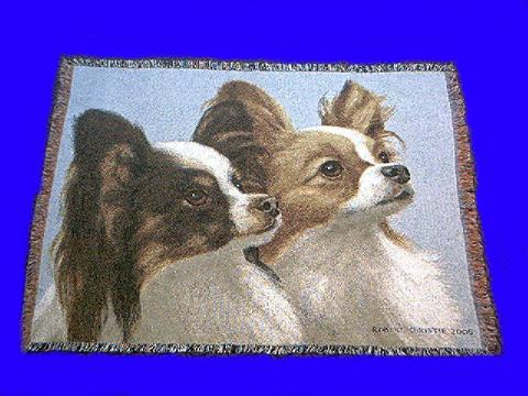 papillon_blanket_pc.JPG
