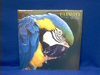 parrot calendar