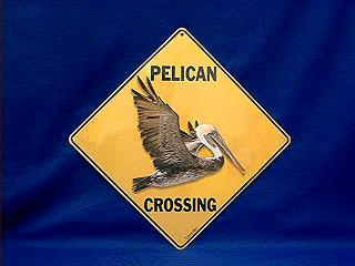 pelican crossing sign color