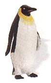 penguin toy