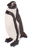penguin toy
