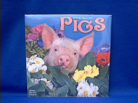 pigs_2008.JPG