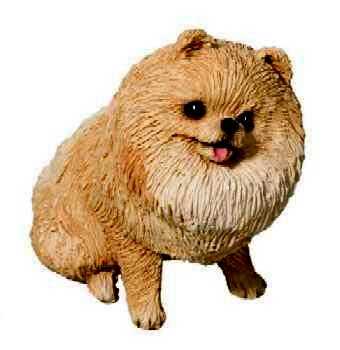 pomeranian figurine sandicast ss12001