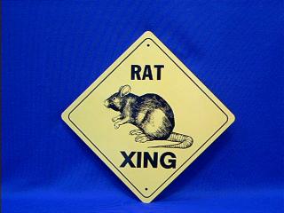 Rat Sign