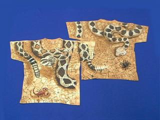 snake shirt