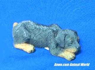 rottweiler figurine sandicast snoozer sz117