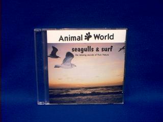 seagull sound
