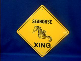 sea horse crossing sign