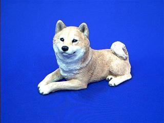 shibainusandorg.JPG