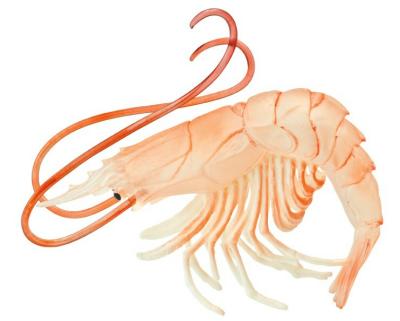 shrimp stuffed animal toy