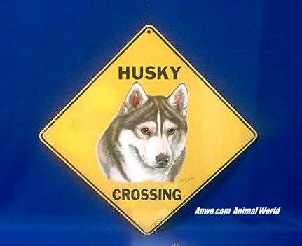 siberian husky crossing sign