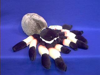 spider stuffed