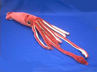 stuffed squid toy