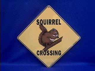 squirrel crossing sign