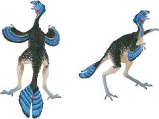 Caudipteryx_toy.jpg