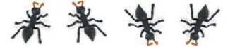 ant-toy-plastic.jpg
