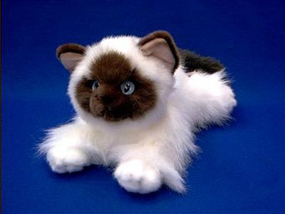 himalayan cat stuffed animal plush 