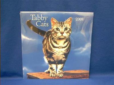 cat_tabby_2008.JPG