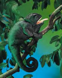 chameleon puppet