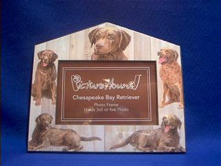chesapeake bay retriever picture frame