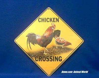 chicken crossing sign rooster