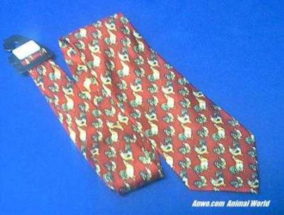chicken rooster necktie red