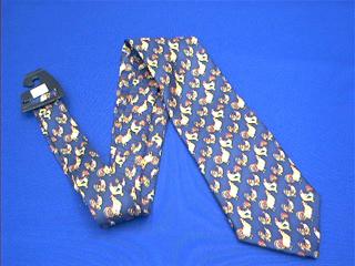 chicken_necktie_rooster.JPG