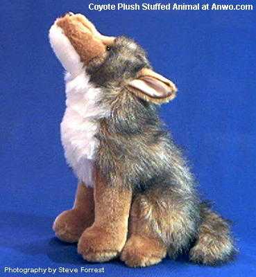 stuffed coyote