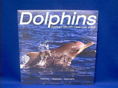 dolphin_2008.JPG
