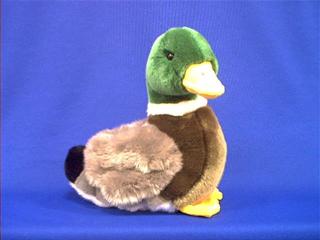 duck_plush_photo_cabcrit.JPG
