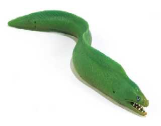 eel_toy.jpg