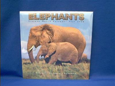 elephants_2008.JPG
