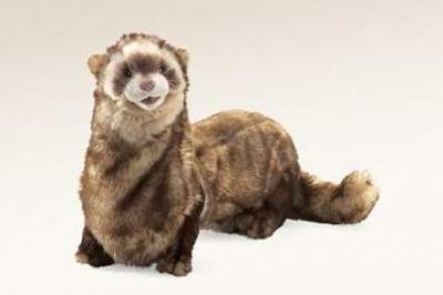ferret puppet folkmanis large