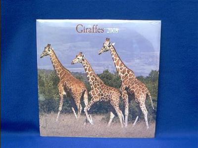 giraffe_2008.JPG