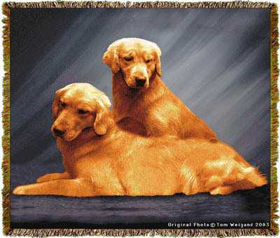 golden retriever blanket golden retriever blanket tapestry throw afghan at anwo animal world 174 golden retriever blanket golden retriever blanket tapestry throw afghan at anwo animal world 174