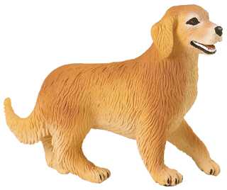 golden retriever toy adult