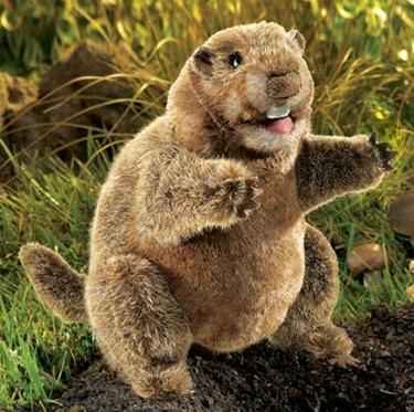 groundhog puppet