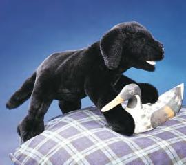 black lab dog puppet black labrador