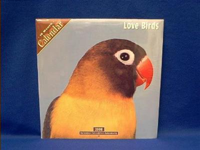 love_bird_2008.JPG