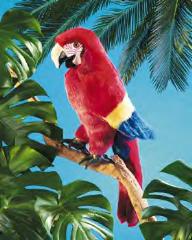 scarlet macaw bird puppet
