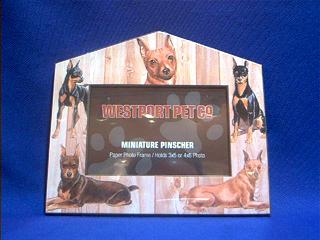 miniature pinscher picture frame