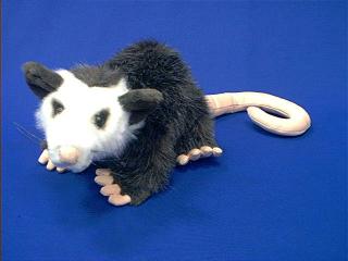 cute opossum stuffed animal