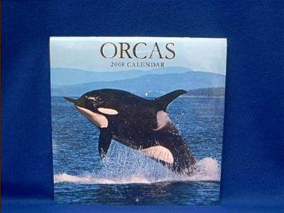 orca_2008.JPG
